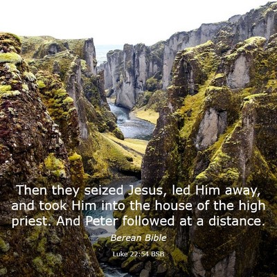 Picture 03 - Luke 22:54 BSB - Then they seized Jesus, led Him away, and took - Bible Verse Picture
