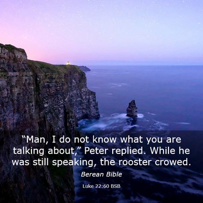 Picture 03 - Luke 22:60 BSB - “Man, I do not know what you are talking - Bible Verse Picture