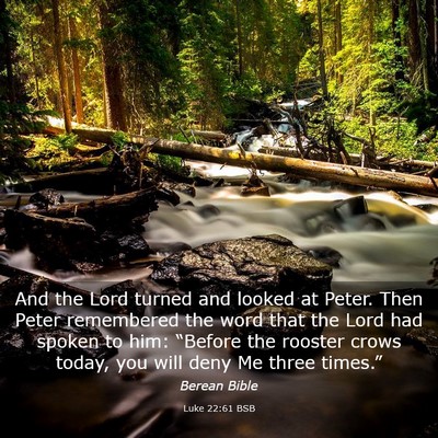 Picture 03 - Luke 22:61 BSB - And the Lord turned and looked at Peter. Then - Bible Verse Picture