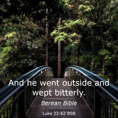 Picture 03 - Luke 22:62 BSB - And he went outside and wept - Bible Verse Picture