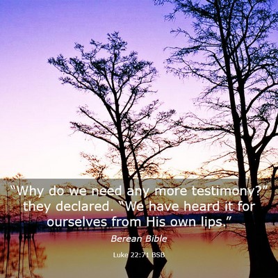 Picture 03 - Luke 22:71 BSB - “Why do we need any more testimony?” they - Bible Verse Picture