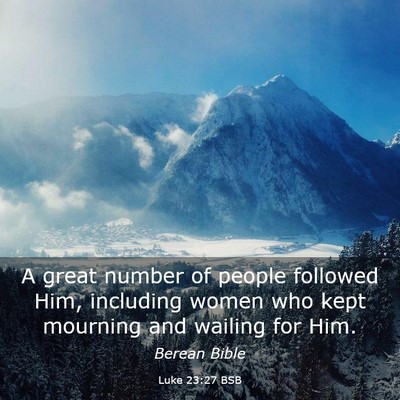 Picture 03 - Luke 23:27 BSB - A great number of people followed Him, including - Bible Verse Picture