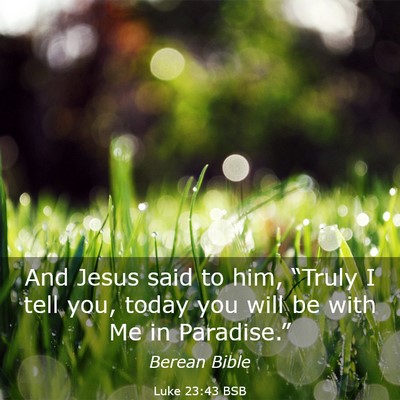 Picture 03 - Luke 23:43 BSB - And Jesus said to him, “Truly I tell you, today - Bible Verse Picture