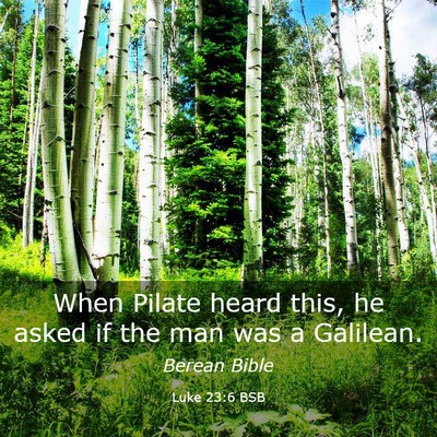Picture 03 - Luke 23:6 BSB - When Pilate heard this, he asked if the man was a - Bible Verse Picture