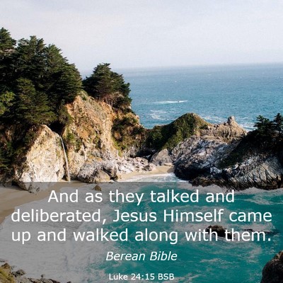 Picture 03 - Luke 24:15 BSB - And as they talked and deliberated, Jesus Himself - Bible Verse Picture