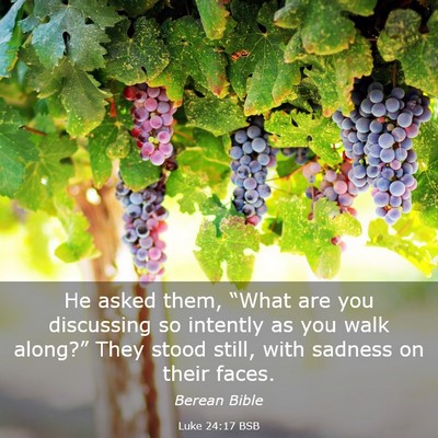Picture 03 - Luke 24:17 BSB - He asked them, “What are you discussing so - Bible Verse Picture