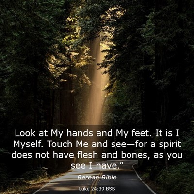 Picture 03 - Luke 24:39 BSB - Look at My hands and My feet. It is I Myself. - Bible Verse Picture