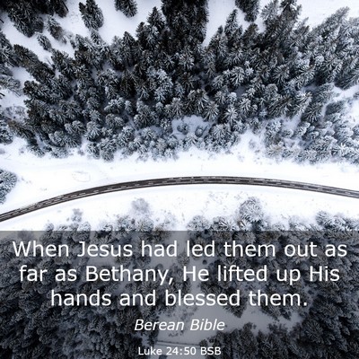 Picture 03 - Luke 24:50 BSB - When Jesus had led them out as far as Bethany, He - Bible Verse Picture