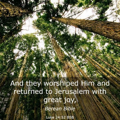 Picture 03 - Luke 24:52 BSB - And they worshiped Him and returned to Jerusalem - Bible Verse Picture