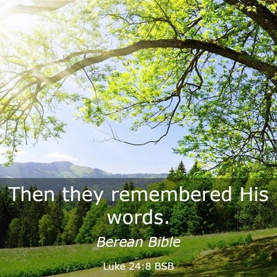 Picture 03 - Luke 24:8 BSB - Then they remembered His - Bible Verse Picture