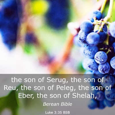 Picture 03 - Luke 3:35 BSB - the son of Serug, the son of Reu, the son of - Bible Verse Picture