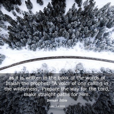 Picture 03 - Luke 3:4 BSB - as it is written in the book of the words of - Bible Verse Picture