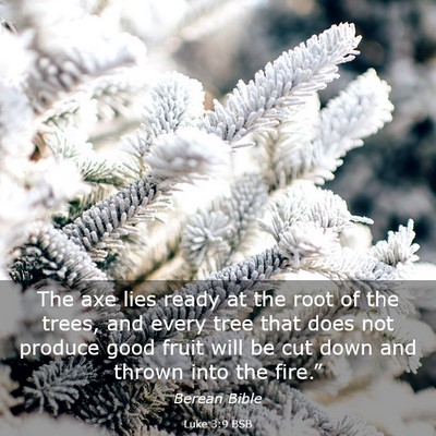 Picture 03 - Luke 3:9 BSB - The axe lies ready at the root of the trees, and - Bible Verse Picture
