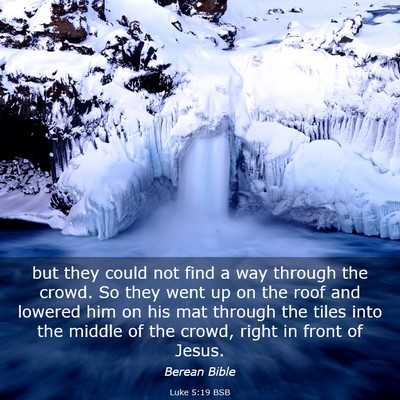 Picture 03 - Luke 5:19 BSB - but they could not find a way through the crowd. - Bible Verse Picture