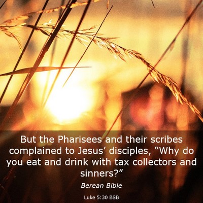 Picture 03 - Luke 5:30 BSB - But the Pharisees and their scribes complained to - Bible Verse Picture