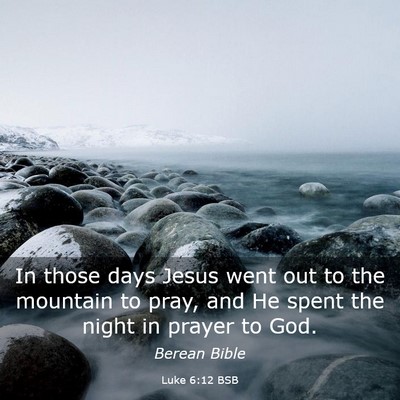 Picture 03 - Luke 6:12 BSB - In those days Jesus went out to the mountain to - Bible Verse Picture