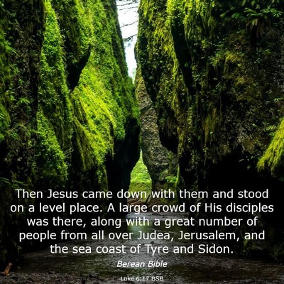 Picture 03 - Luke 6:17 BSB - Then Jesus came down with them and stood on a - Bible Verse Picture