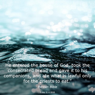 Picture 03 - Luke 6:4 BSB - He entered the house of God, took the consecrated - Bible Verse Picture