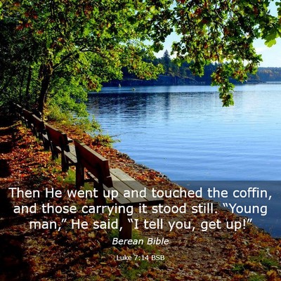 Picture 03 - Luke 7:14 BSB - Then He went up and touched the coffin, and those - Bible Verse Picture