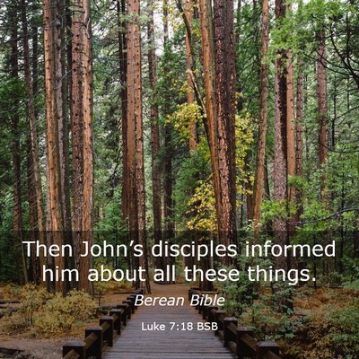 Picture 03 - Luke 7:18 BSB - Then John’s disciples informed him about all - Bible Verse Picture