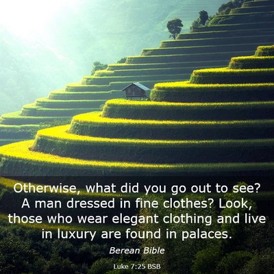 Picture 03 - Luke 7:25 BSB - Otherwise, what did you go out to see? A man - Bible Verse Picture