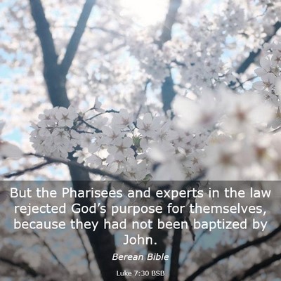 Picture 03 - Luke 7:30 BSB - But the Pharisees and experts in the law rejected - Bible Verse Picture