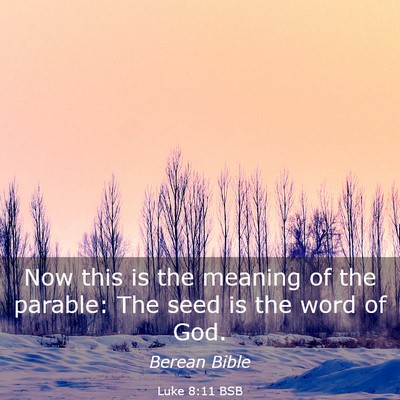 Picture 03 - Luke 8:11 BSB - Now this is the meaning of the parable: The seed - Bible Verse Picture