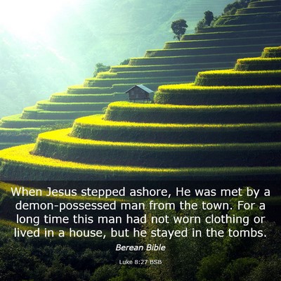 Picture 03 - Luke 8:27 BSB - When Jesus stepped ashore, He was met by a - Bible Verse Picture