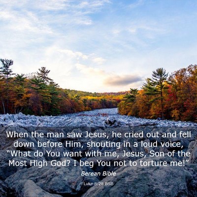 Picture 03 - Luke 8:28 BSB - When the man saw Jesus, he cried out and fell - Bible Verse Picture