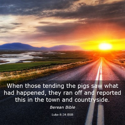 Picture 03 - Luke 8:34 BSB - When those tending the pigs saw what had - Bible Verse Picture