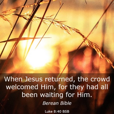 Picture 03 - Luke 8:40 BSB - When Jesus returned, the crowd welcomed Him, for - Bible Verse Picture