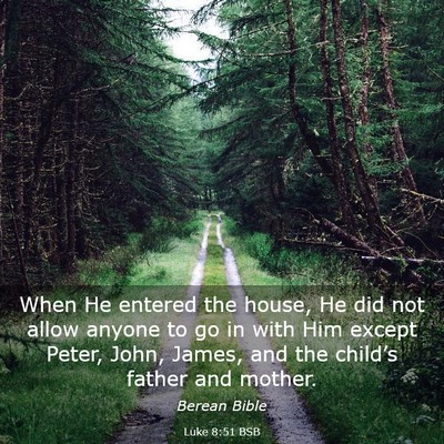 Picture 03 - Luke 8:51 BSB - When He entered the house, He did not allow - Bible Verse Picture