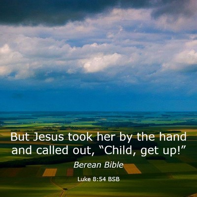 Picture 03 - Luke 8:54 BSB - But Jesus took her by the hand and called out, - Bible Verse Picture