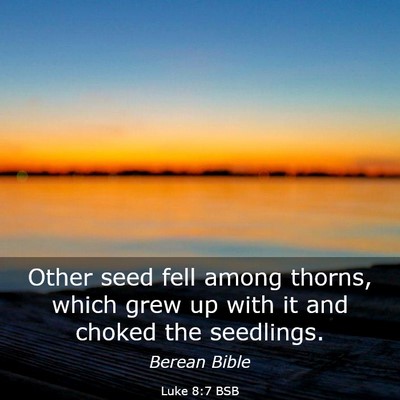 Picture 03 - Luke 8:7 BSB - Other seed fell among thorns, which grew up with - Bible Verse Picture