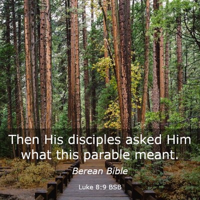 Picture 03 - Luke 8:9 BSB - Then His disciples asked Him what this parable - Bible Verse Picture