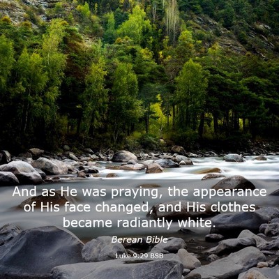 Picture 03 - Luke 9:29 BSB - And as He was praying, the appearance of His face - Bible Verse Picture