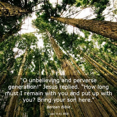 Picture 03 - Luke 9:41 BSB - “O unbelieving and perverse generation!” - Bible Verse Picture