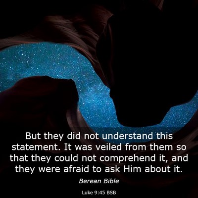 Picture 03 - Luke 9:45 BSB - But they did not understand this statement. It - Bible Verse Picture