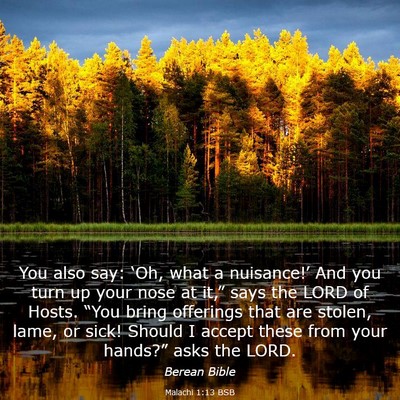 Picture 03 - Malachi 1:13 BSB - You also say: ‘Oh, what a nuisance!’ And you - Bible Verse Picture
