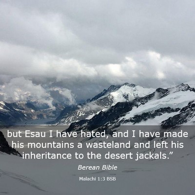 Picture 03 - Malachi 1:3 BSB - but Esau I have hated, and I have made his - Bible Verse Picture