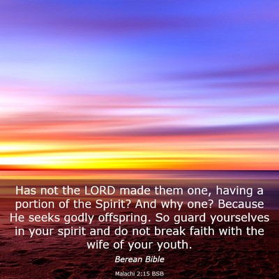 Picture 03 - Malachi 2:15 BSB - Has not the LORD made them one, having a portion - Bible Verse Picture
