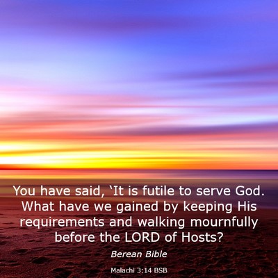 Picture 03 - Malachi 3:14 BSB - You have said, ‘It is futile to serve God. What - Bible Verse Picture