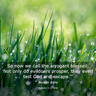 Picture 03 - Malachi 3:15 BSB - So now we call the arrogant blessed. Not only do - Bible Verse Picture