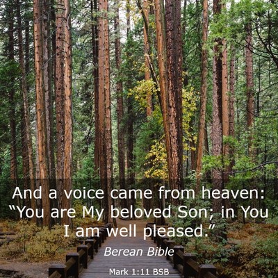 Picture 03 - Mark 1:11 BSB - And a voice came from heaven: “You are My - Bible Verse Picture