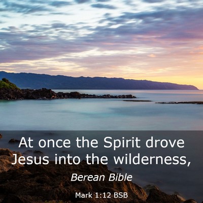 Picture 03 - Mark 1:12 BSB - At once the Spirit drove Jesus into the - Bible Verse Picture