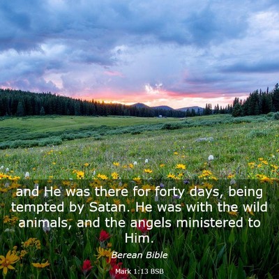 Picture 03 - Mark 1:13 BSB - and He was there for forty days, being tempted by - Bible Verse Picture