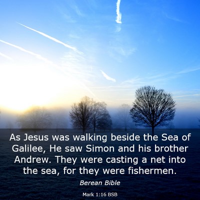 Picture 03 - Mark 1:16 BSB - As Jesus was walking beside the Sea of Galilee, - Bible Verse Picture