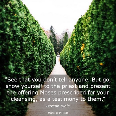 Picture 03 - Mark 1:44 BSB - “See that you don’t tell anyone. But go, show - Bible Verse Picture