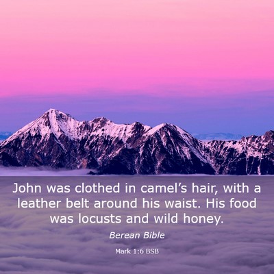 Picture 03 - Mark 1:6 BSB - John was clothed in camel’s hair, with a - Bible Verse Picture