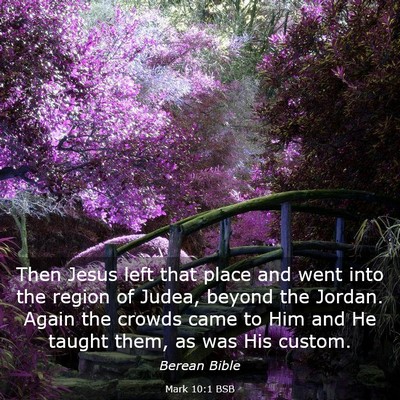 Picture 03 - Mark 10:1 BSB - Then Jesus left that place and went into the - Bible Verse Picture